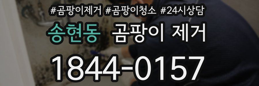 송현동 곰팡이 제거