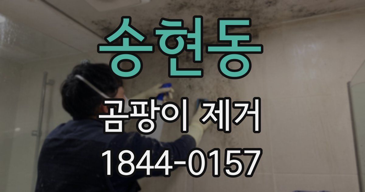 송현동 곰팡이 제거