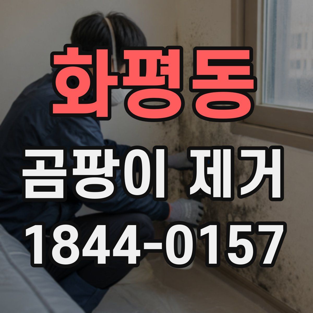 화평동 곰팡이 제거