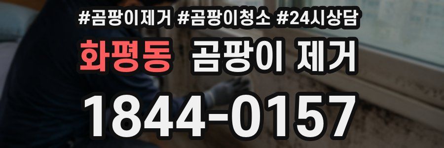 화평동 곰팡이 제거
