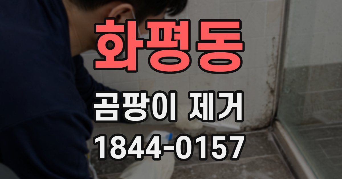 화평동 곰팡이 제거