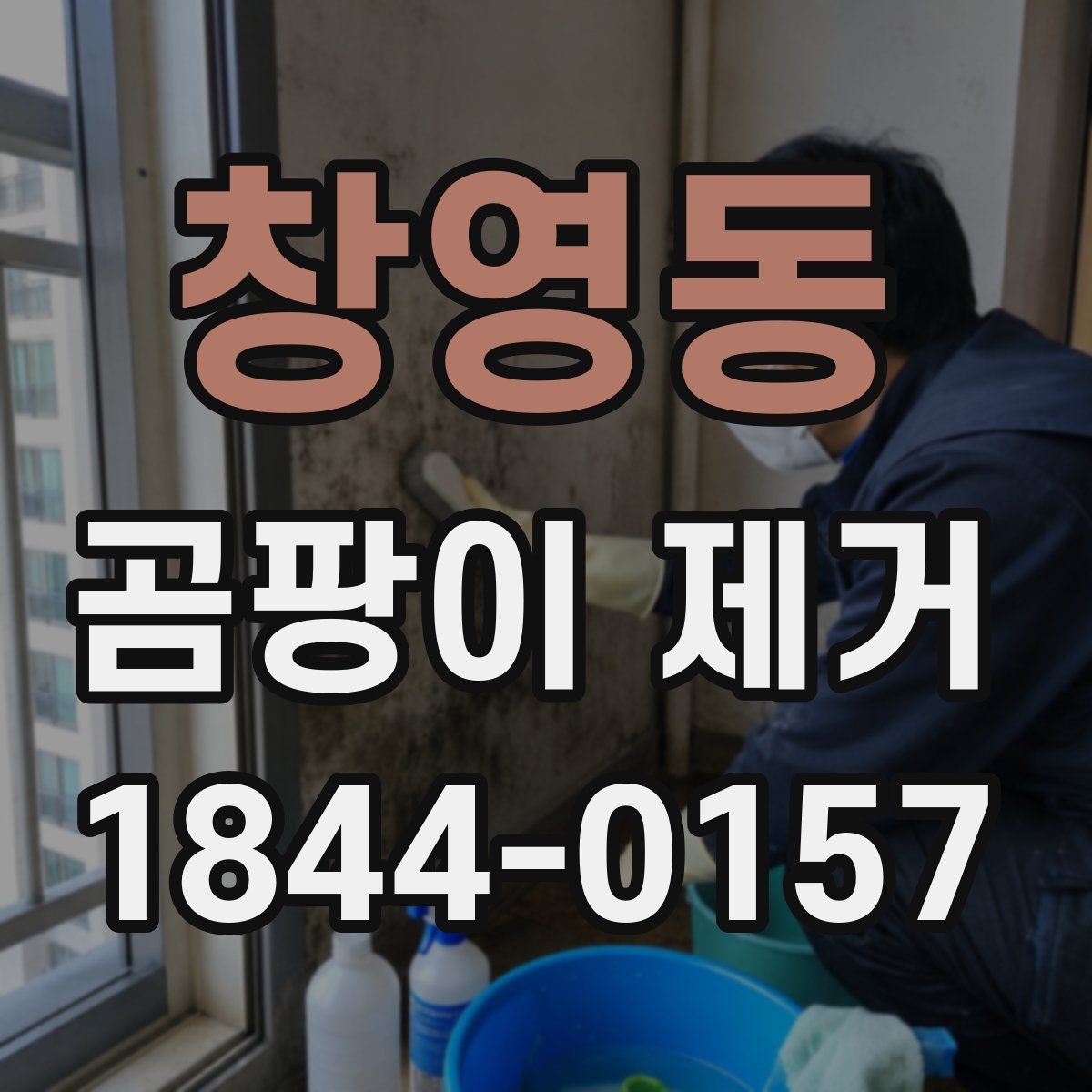 창영동 곰팡이 제거