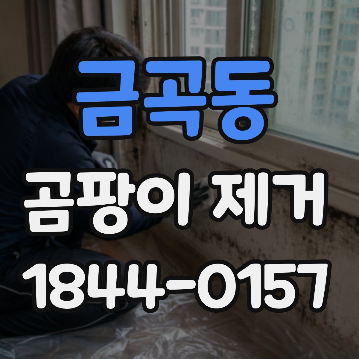 금곡동 곰팡이 제거