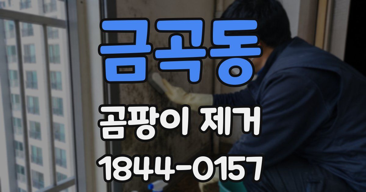 금곡동 곰팡이 제거