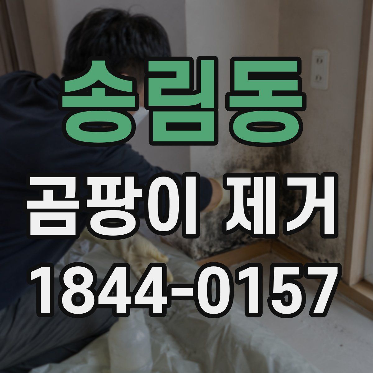 송림동 곰팡이 제거