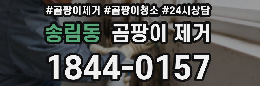 송림동 곰팡이 제거