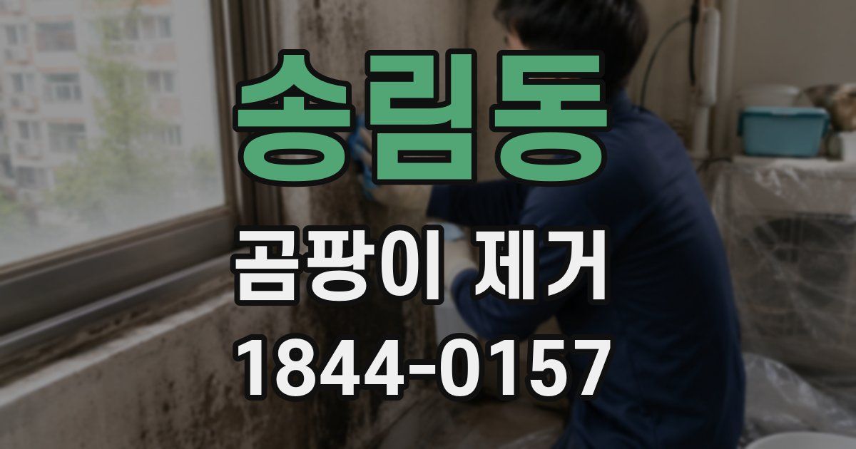 송림동 곰팡이 제거