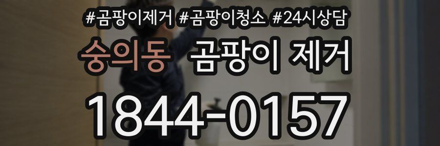 숭의동 곰팡이 제거