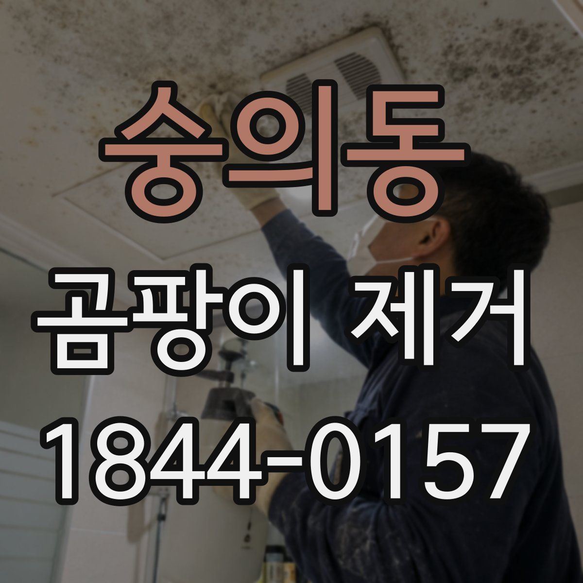 숭의동 곰팡이 제거