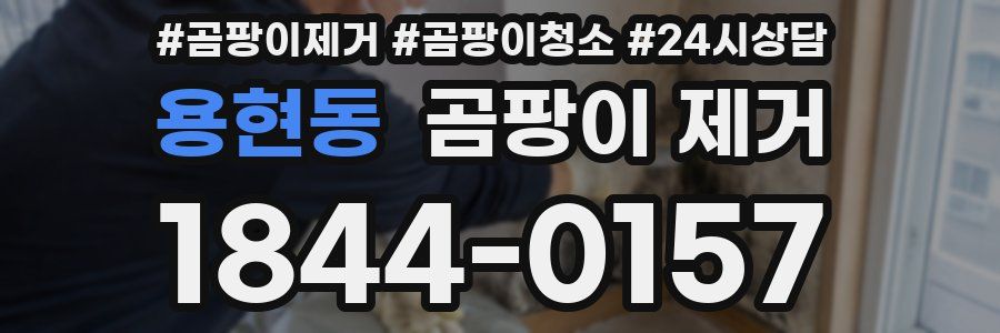 용현동 곰팡이 제거