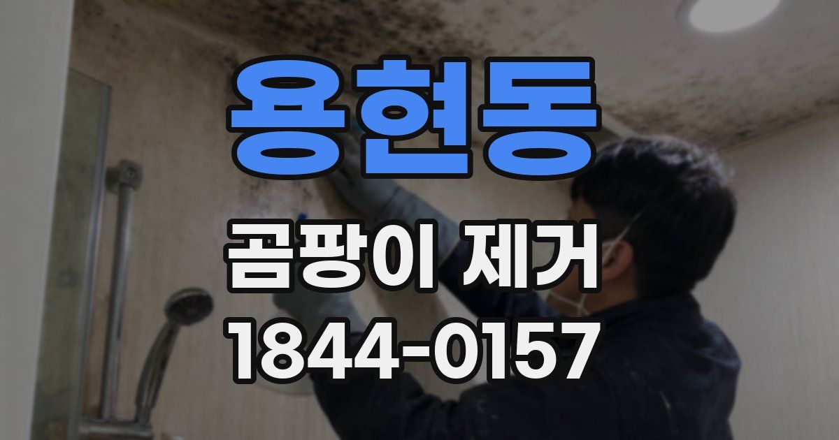 용현동 곰팡이 제거