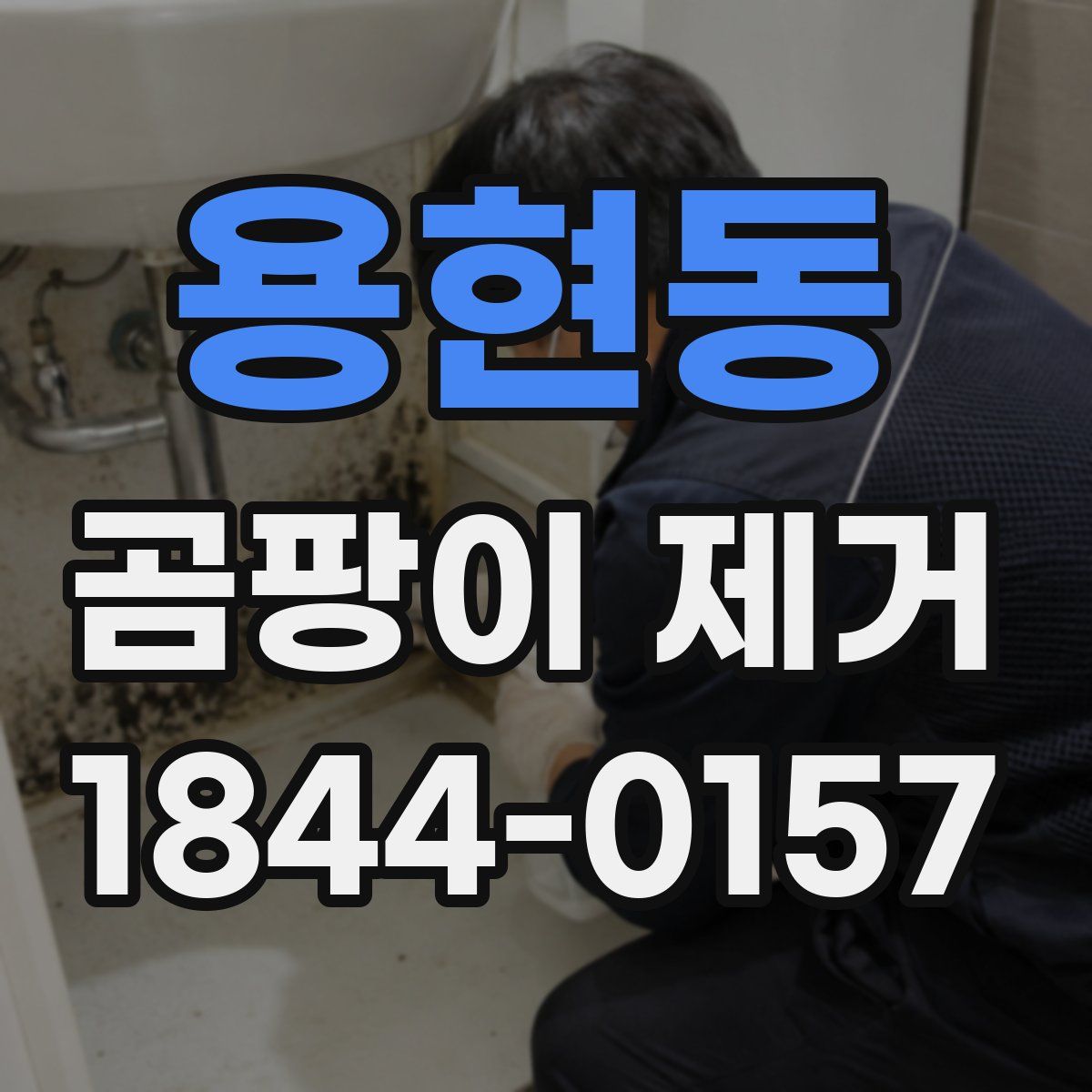 용현동 곰팡이 제거