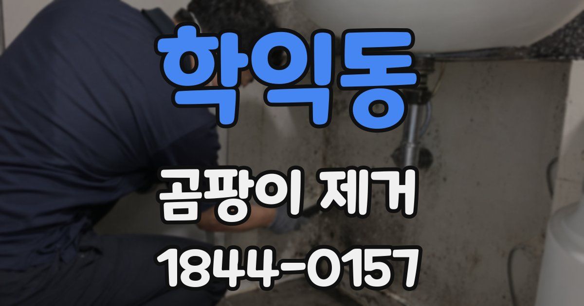 학익동 곰팡이 제거