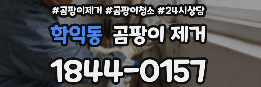 학익동 곰팡이 제거