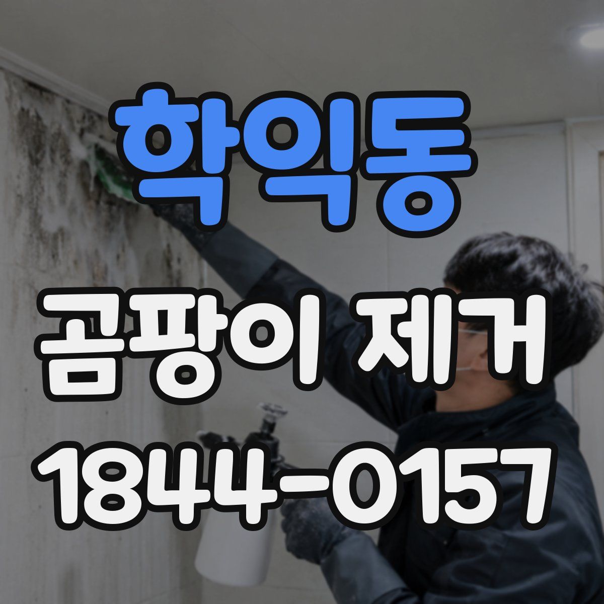 학익동 곰팡이 제거