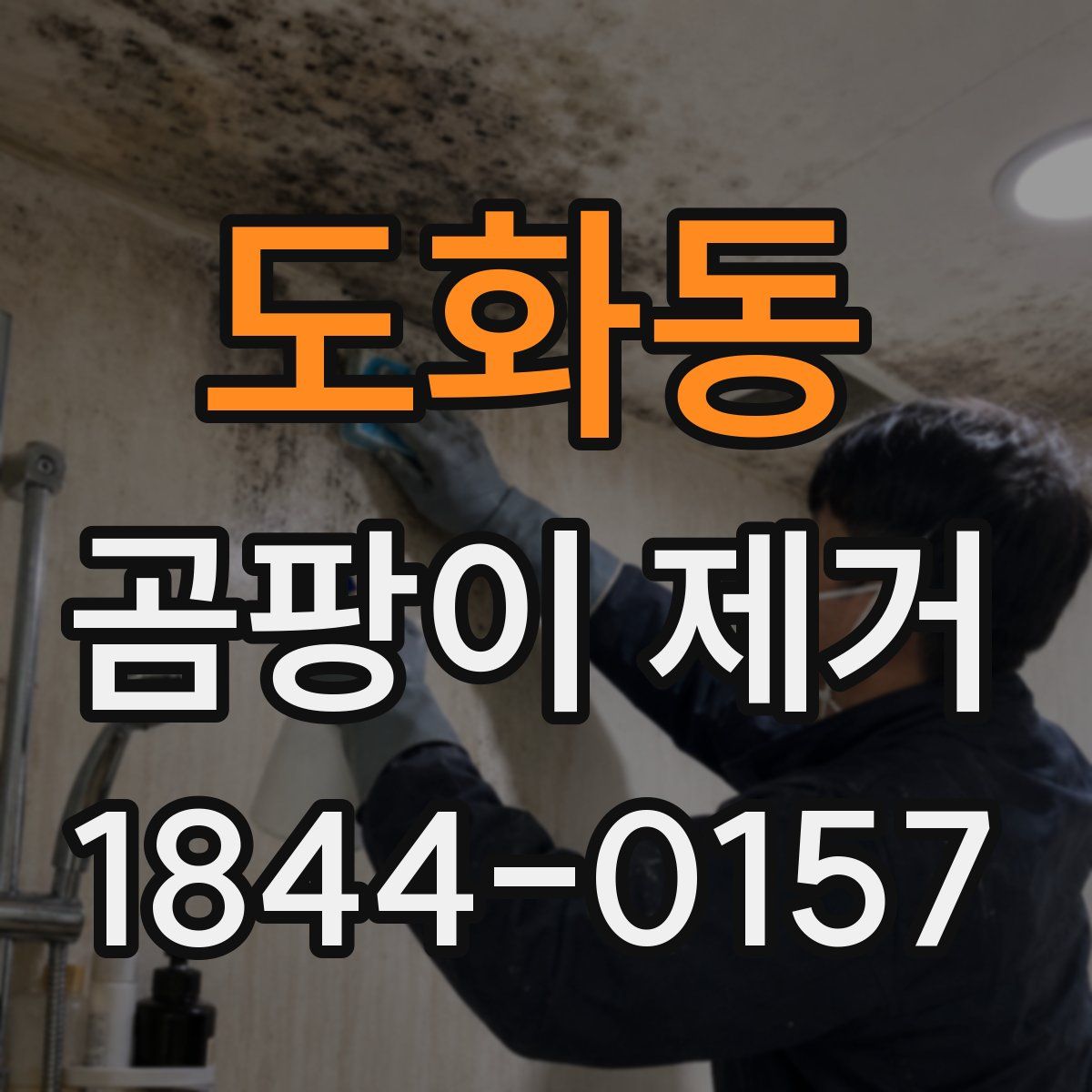 도화동 곰팡이 제거