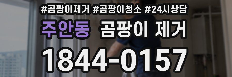 주안동 곰팡이 제거