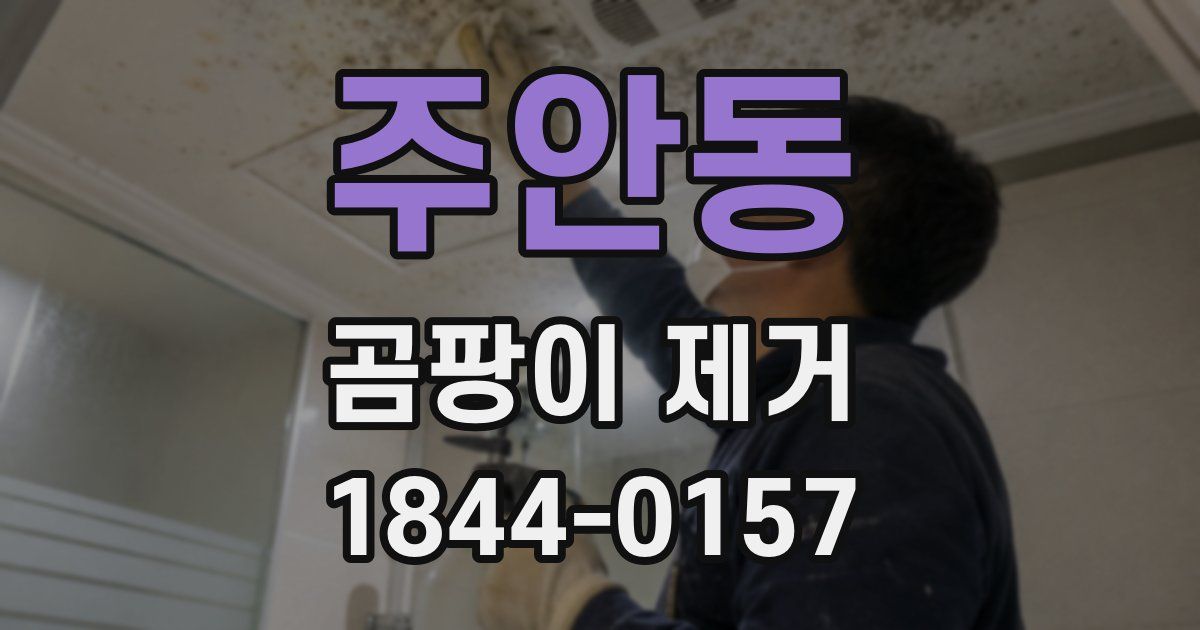 주안동 곰팡이 제거