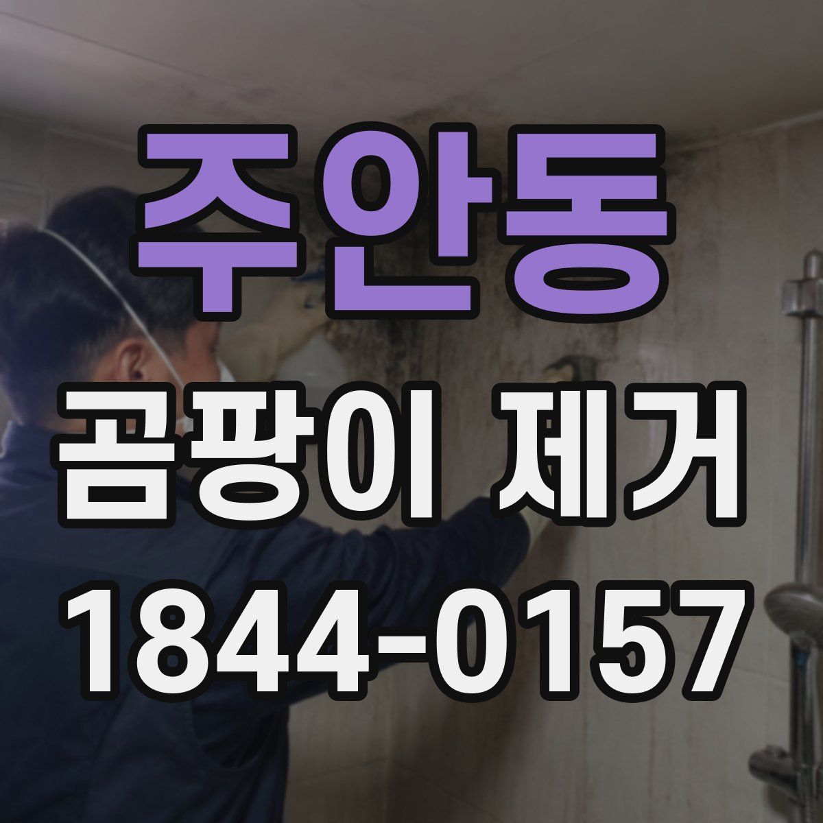 주안동 곰팡이 제거