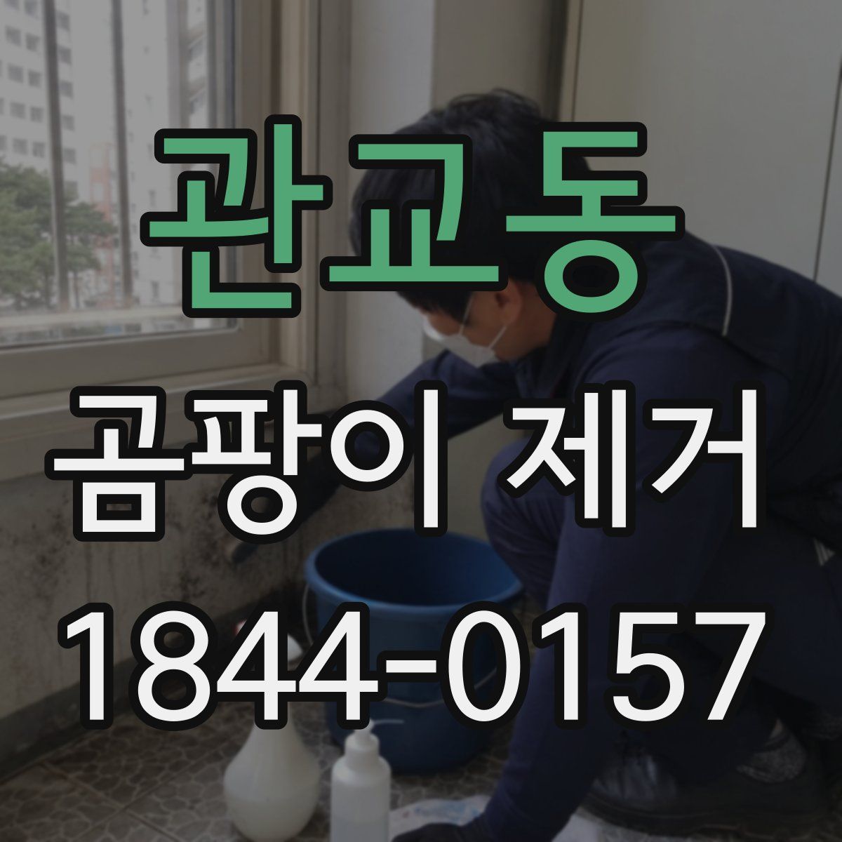 관교동 곰팡이 제거