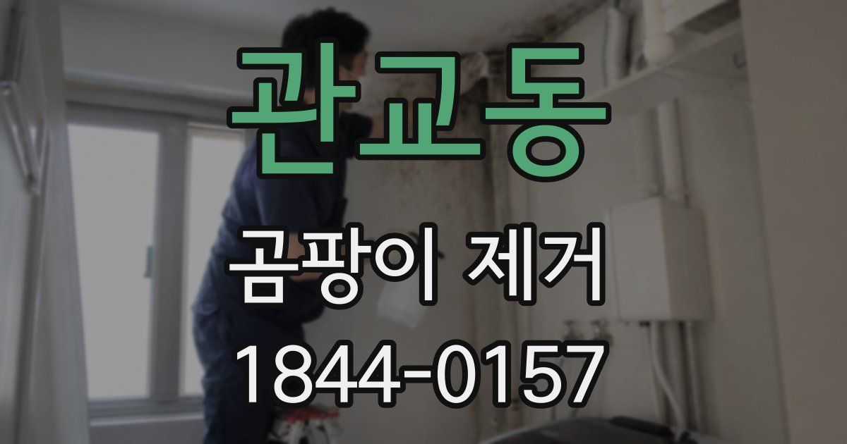 관교동 곰팡이 제거