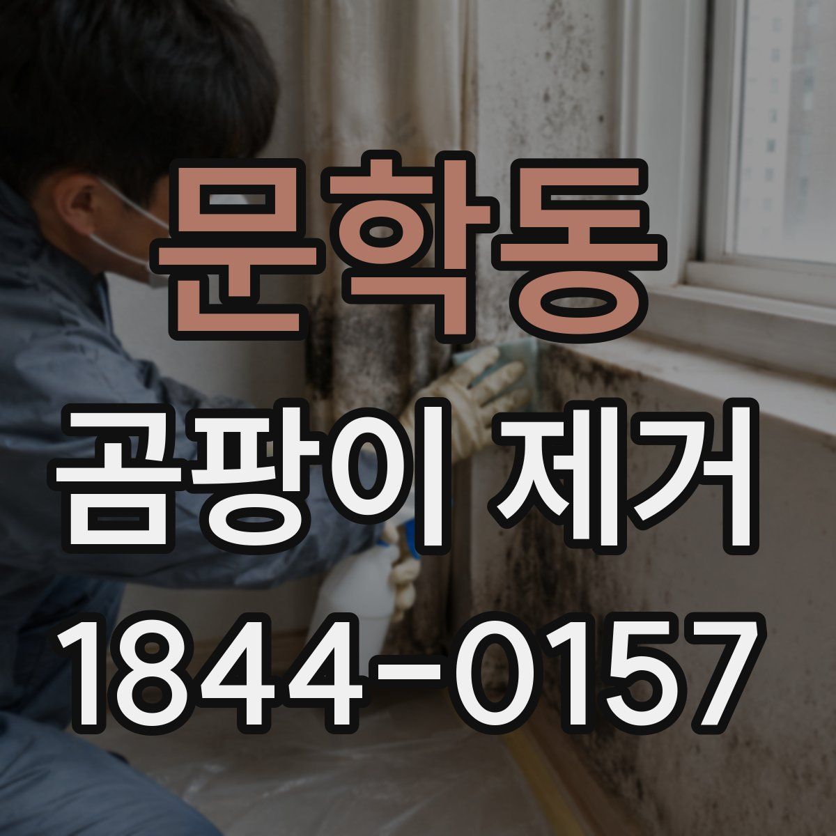 문학동 곰팡이 제거