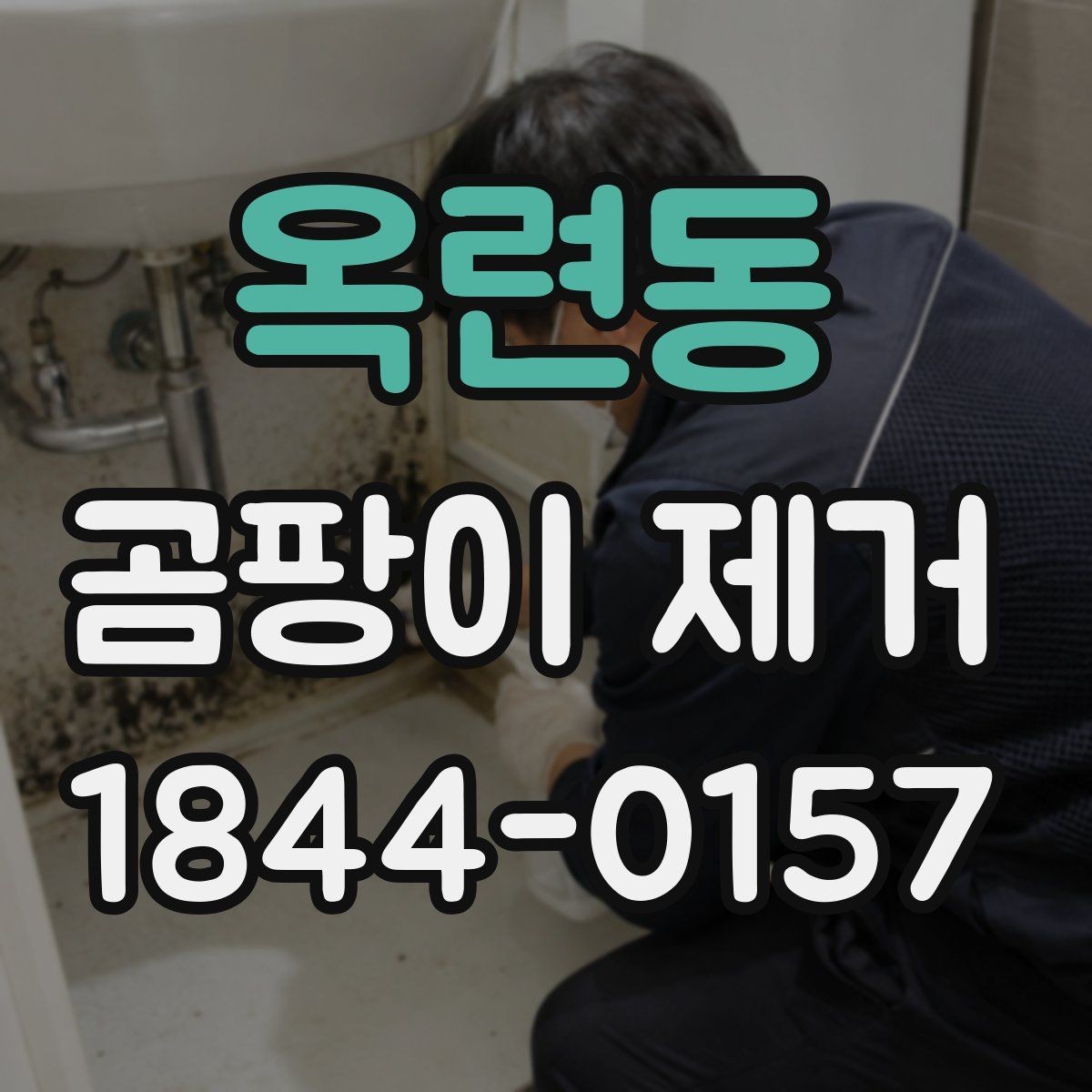 옥련동 곰팡이 제거 자연 건조가 필요한 이유와 주의점