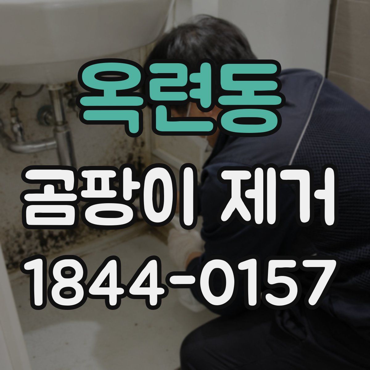 옥련동 곰팡이 제거