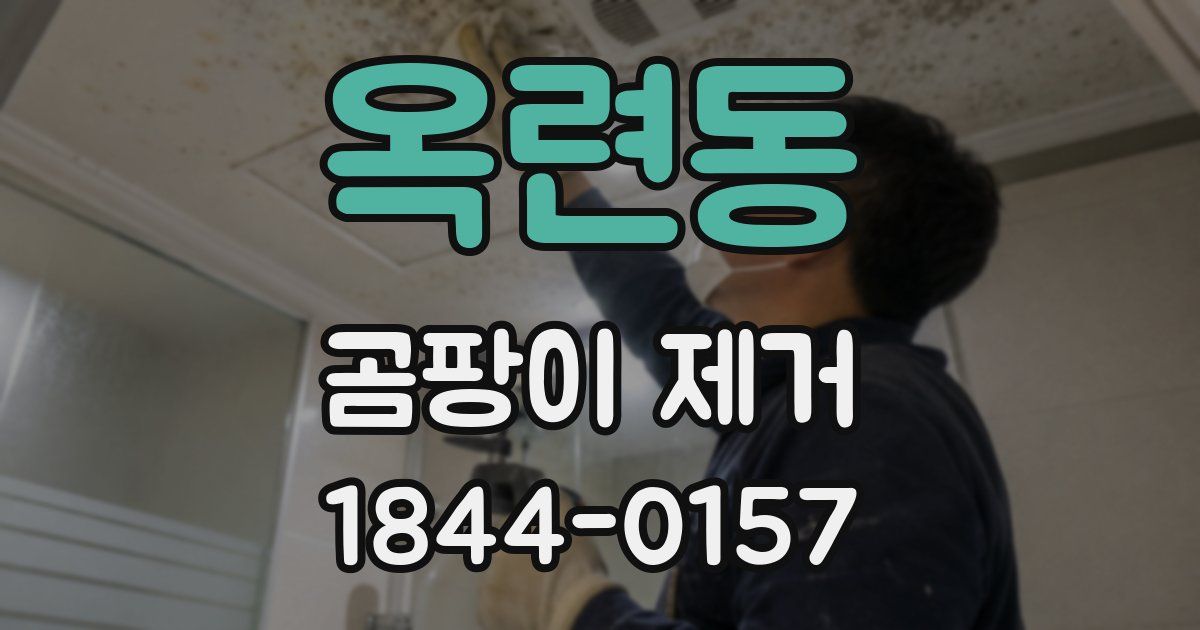 옥련동 곰팡이 제거