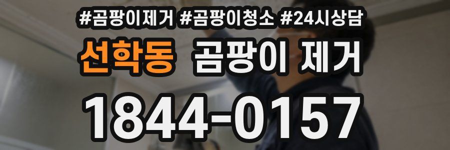 선학동 곰팡이 제거