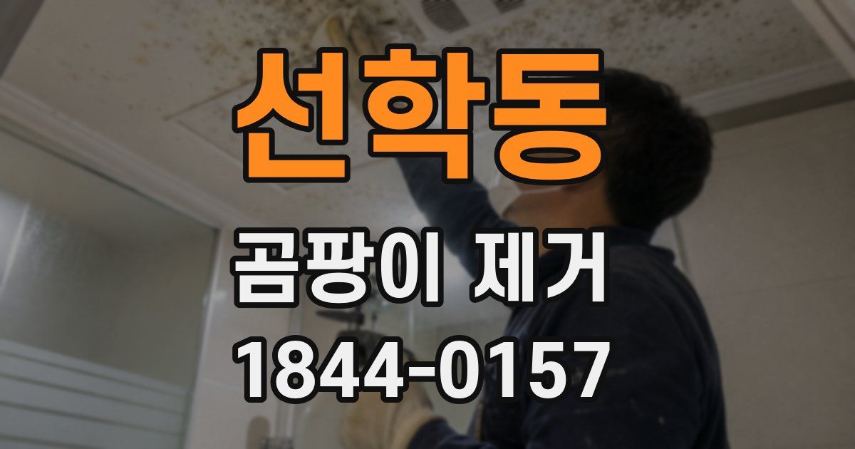 선학동 곰팡이 제거