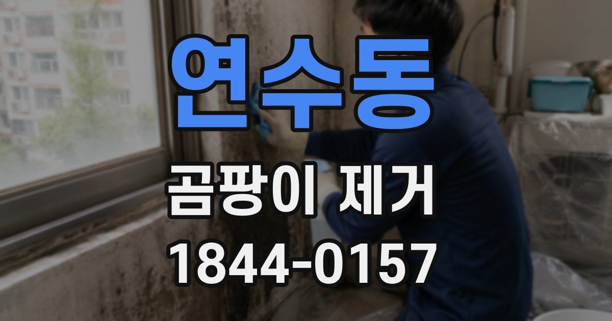 연수동 곰팡이 제거
