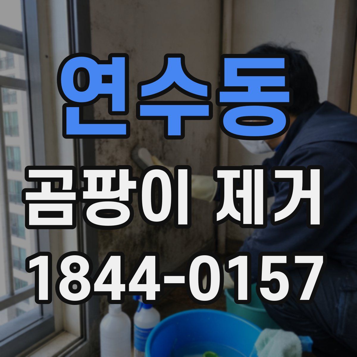 연수동 곰팡이 제거