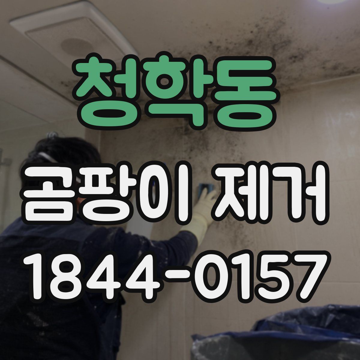 청학동 곰팡이 제거