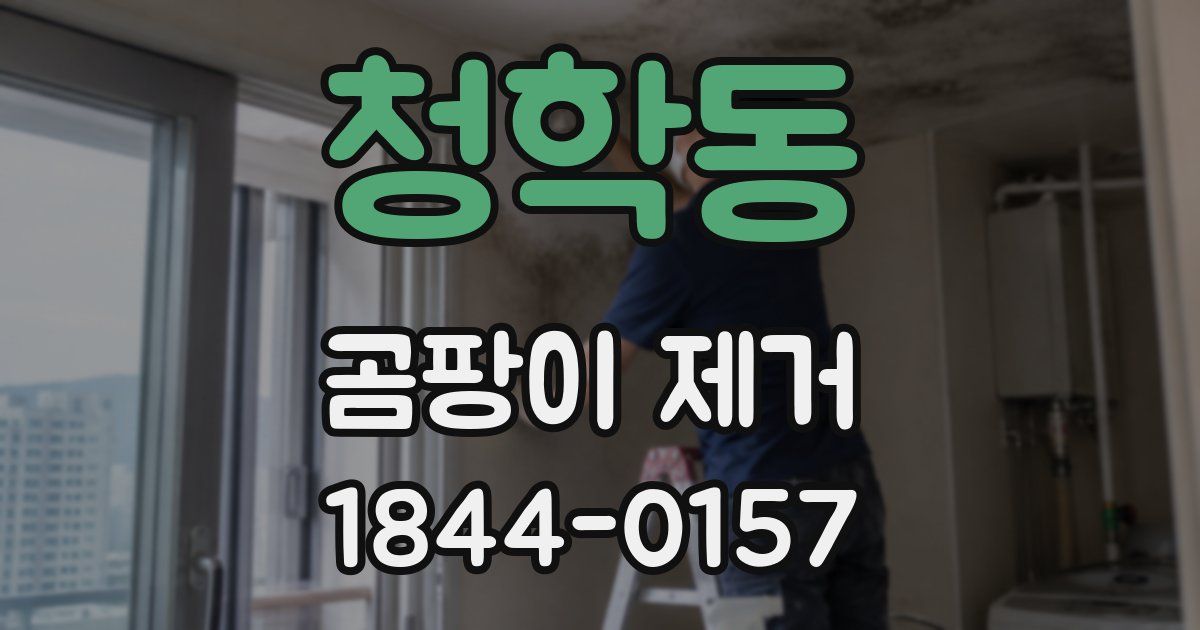 청학동 곰팡이 제거