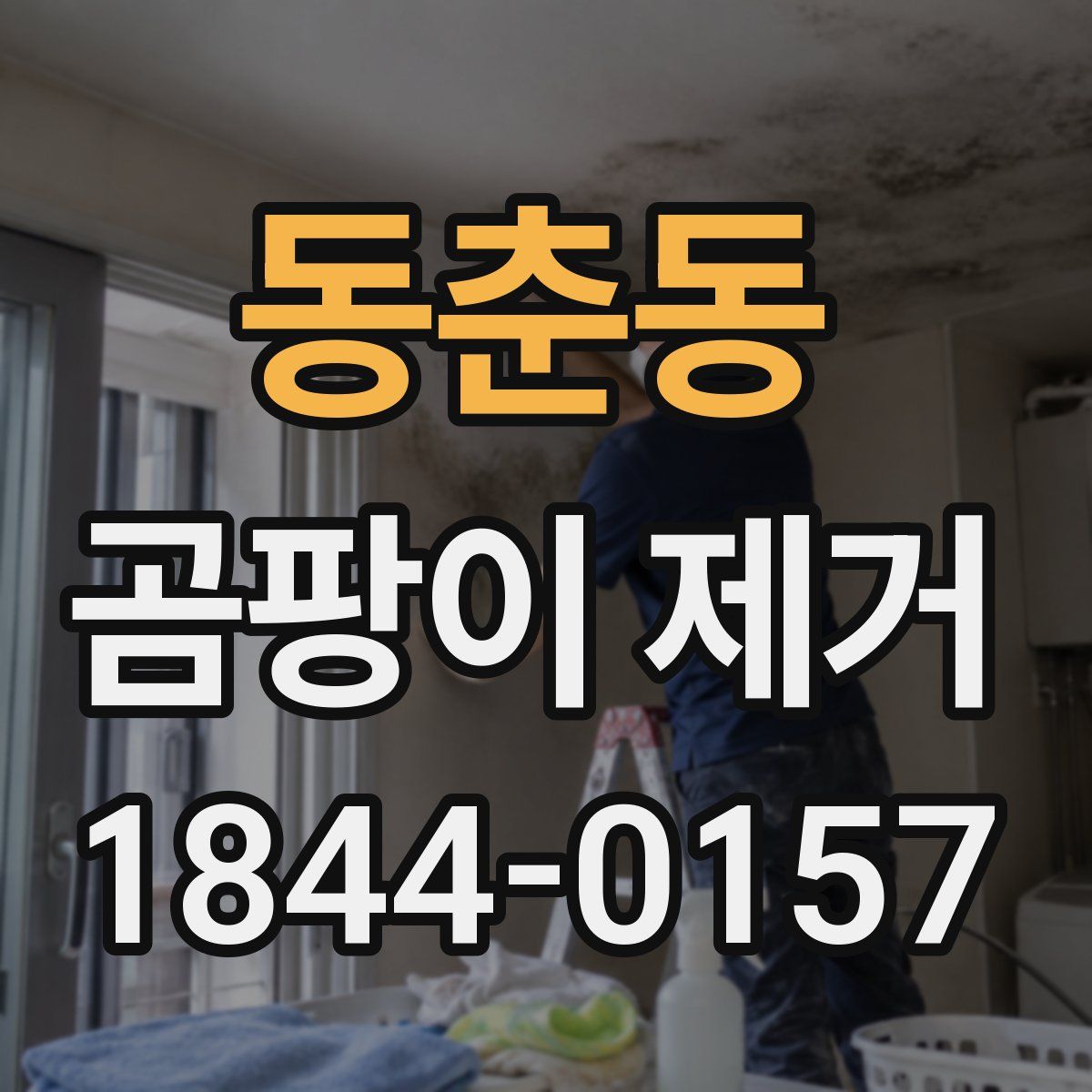 동춘동 곰팡이 제거