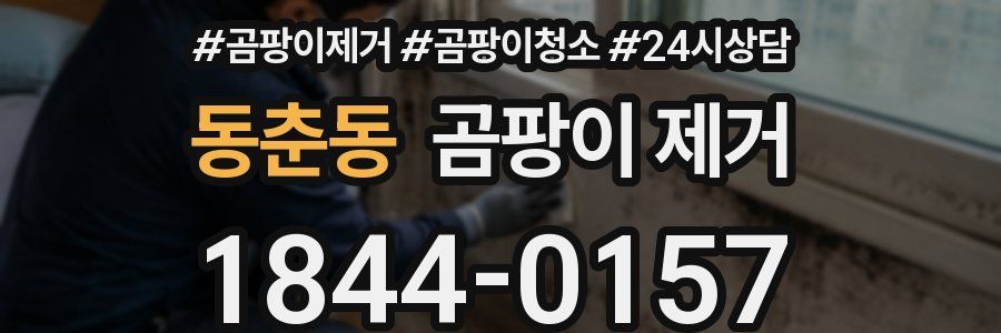 동춘동 곰팡이 제거