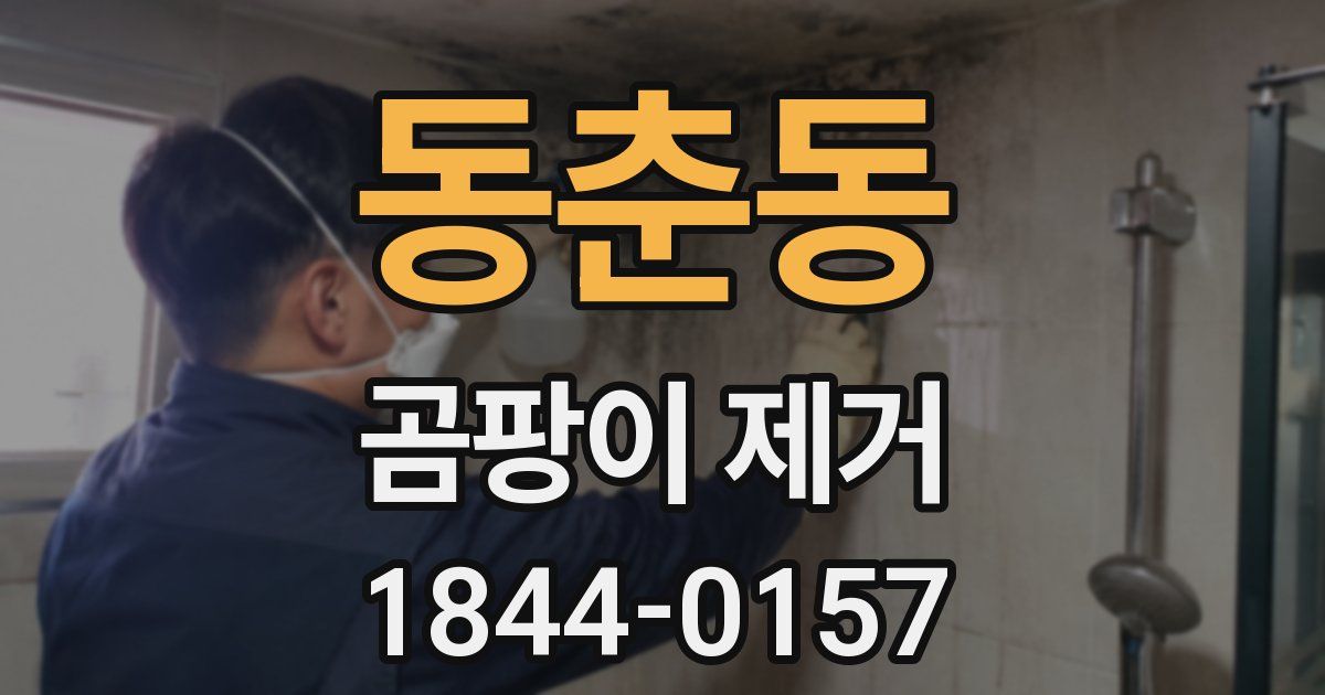 동춘동 곰팡이 제거