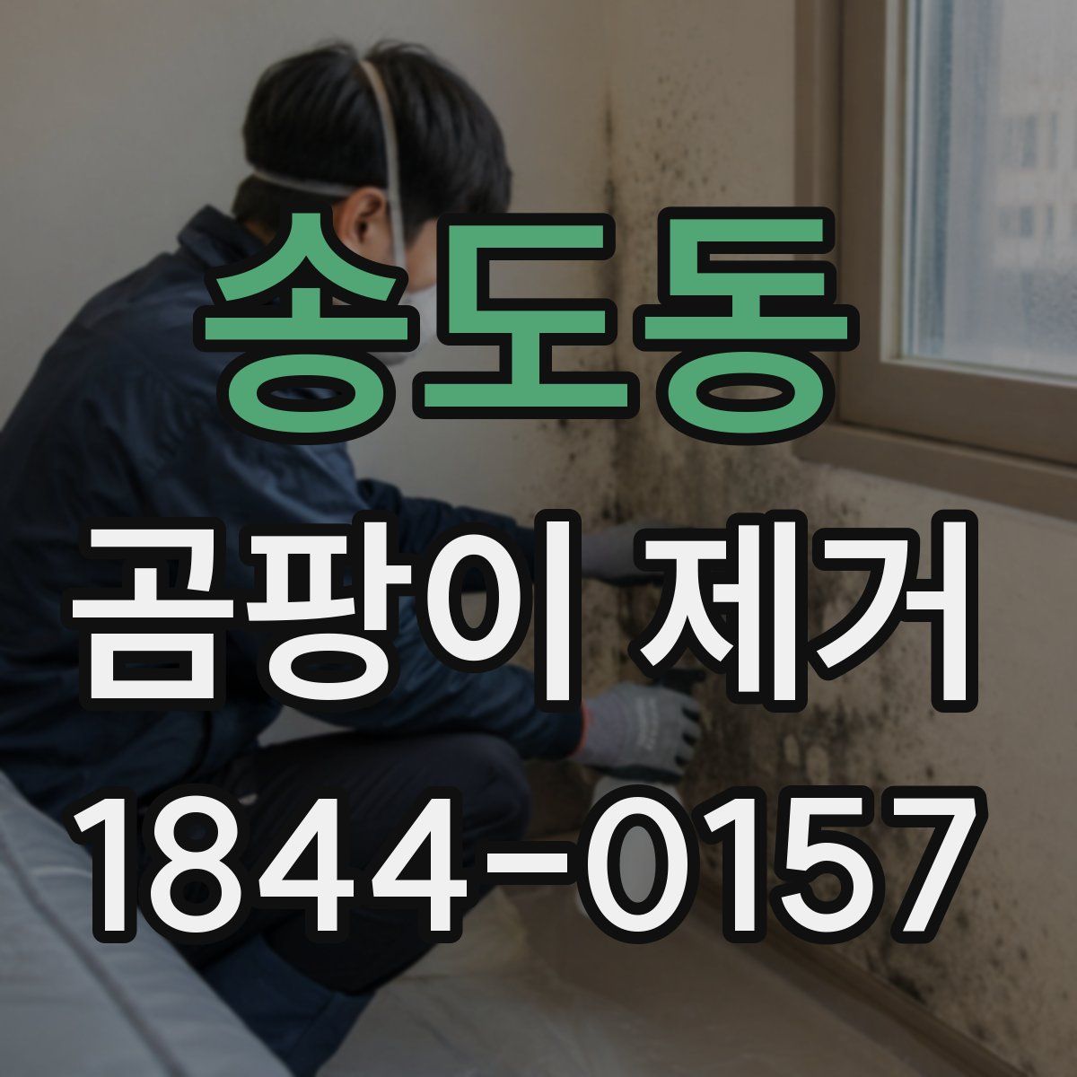 송도동 곰팡이 제거