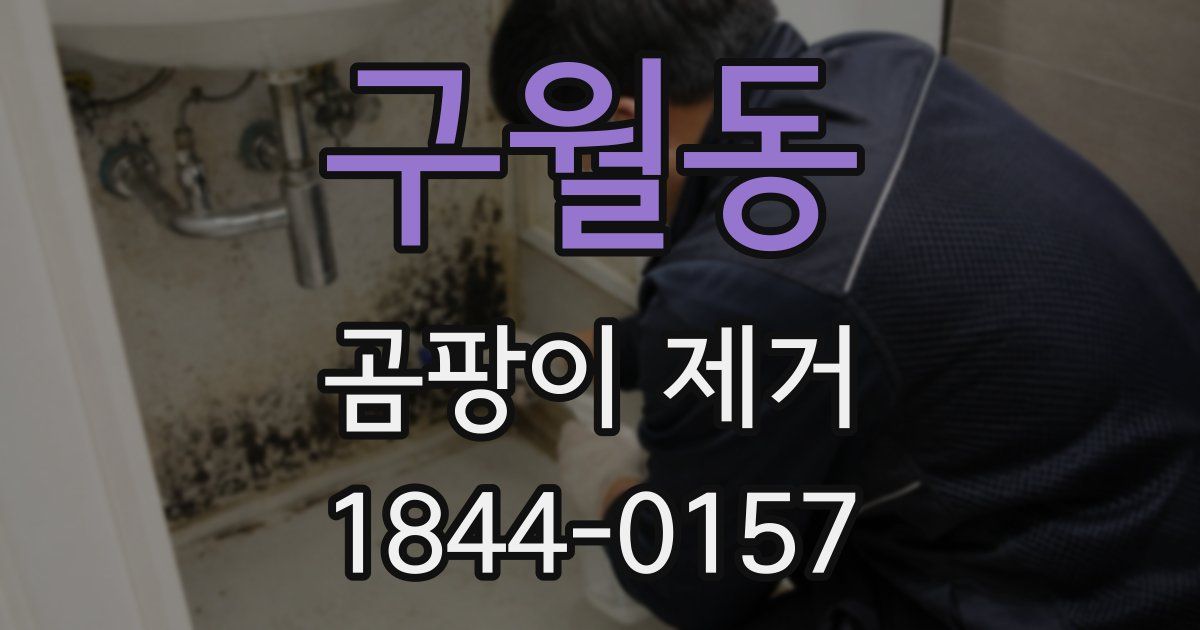 구월동 곰팡이 제거
