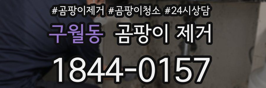 구월동 곰팡이 제거