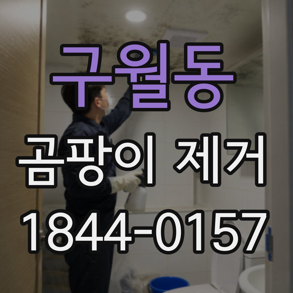 구월동 곰팡이 제거