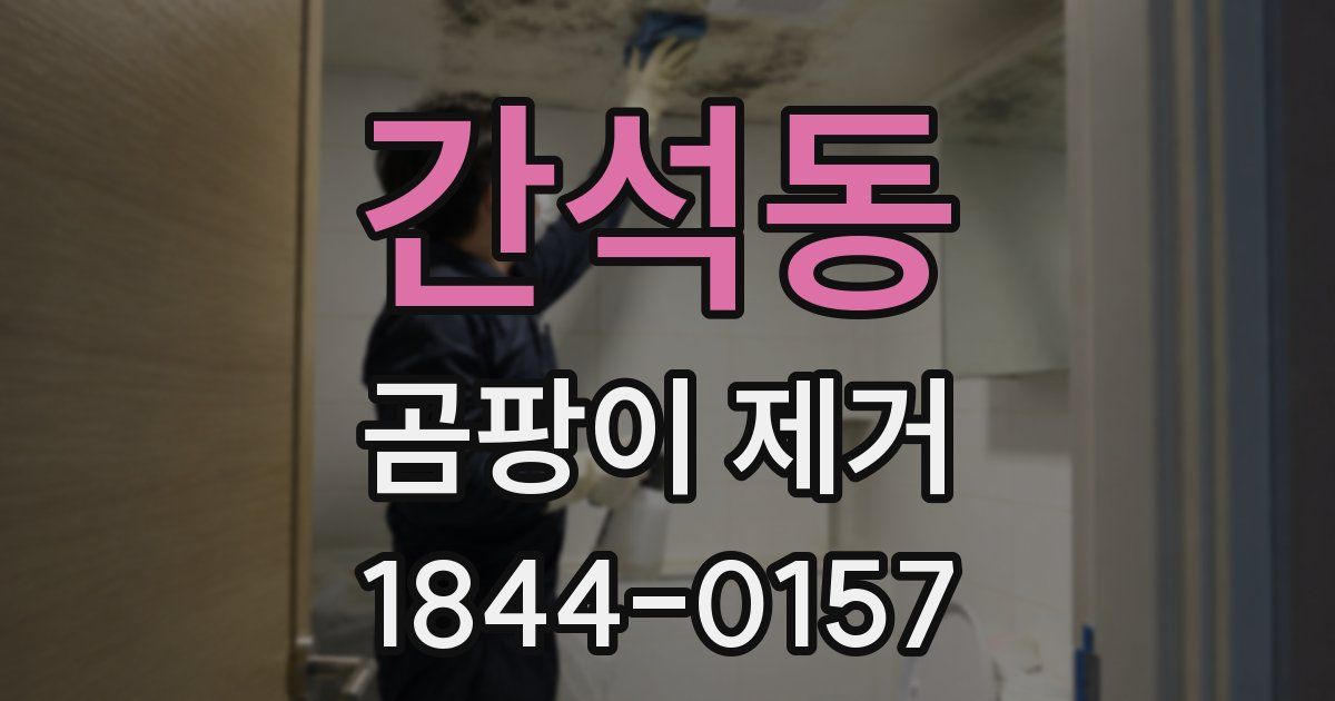 간석동 곰팡이 제거