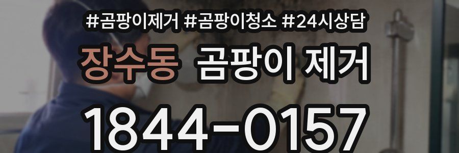 장수동 곰팡이 제거