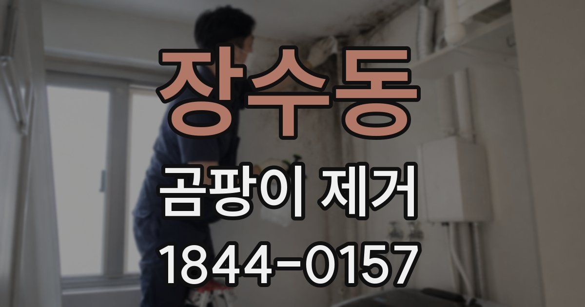 장수동 곰팡이 제거