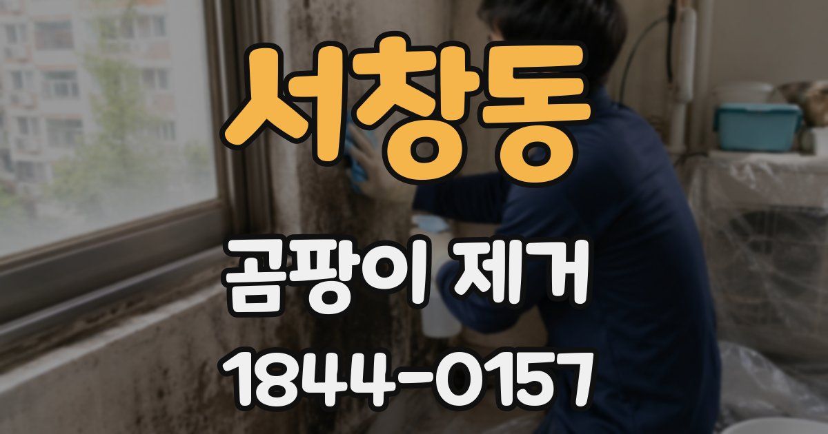 서창동 곰팡이 제거