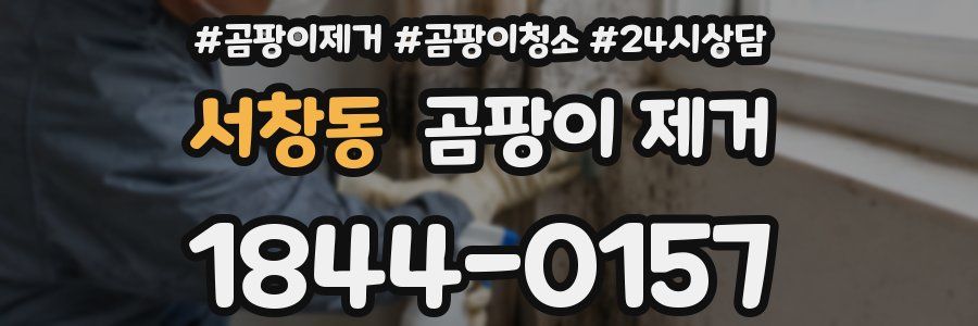 서창동 곰팡이 제거