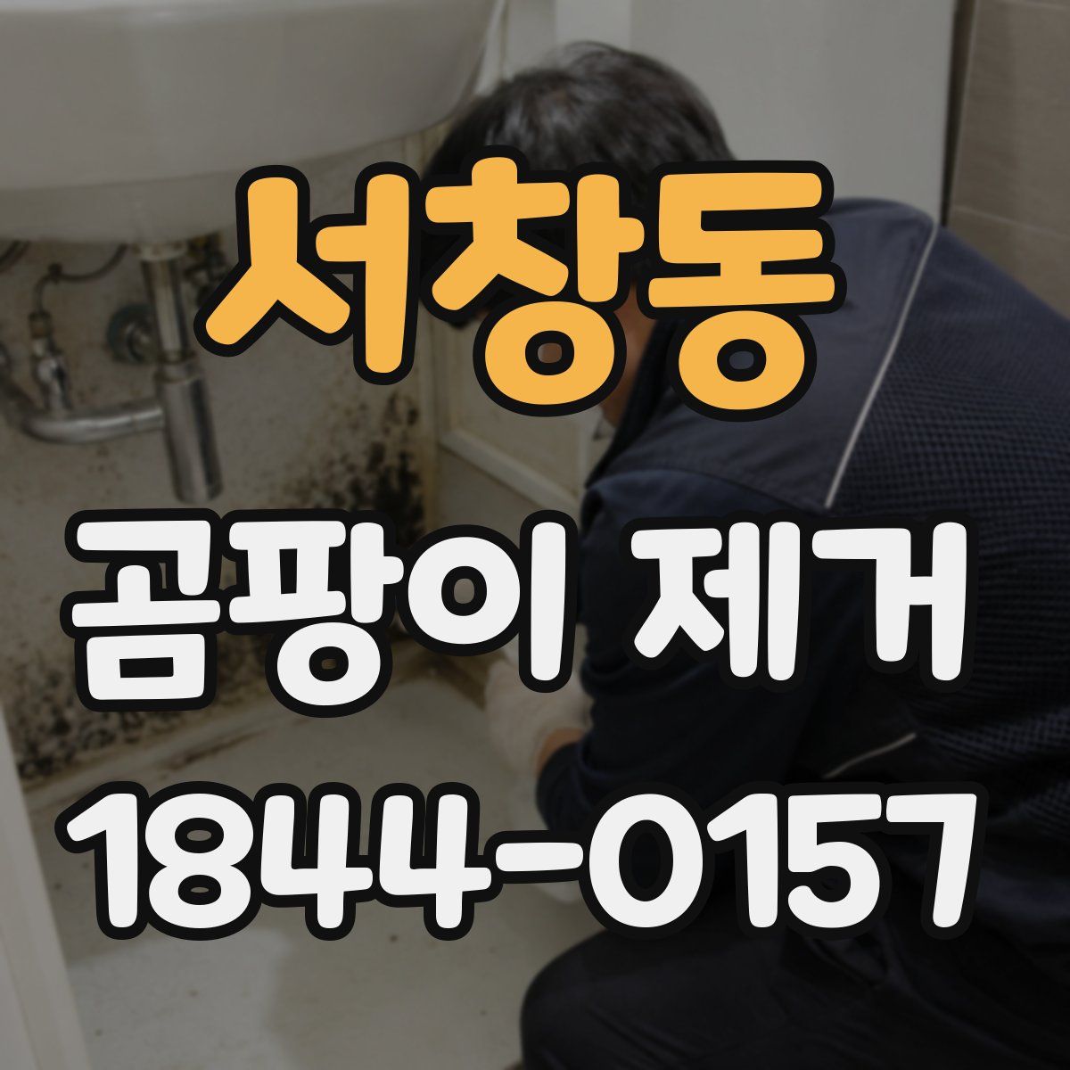 서창동 곰팡이 제거