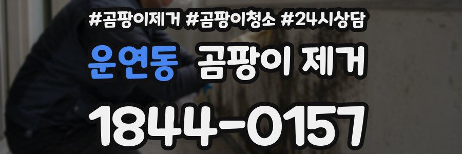 운연동 곰팡이 제거
