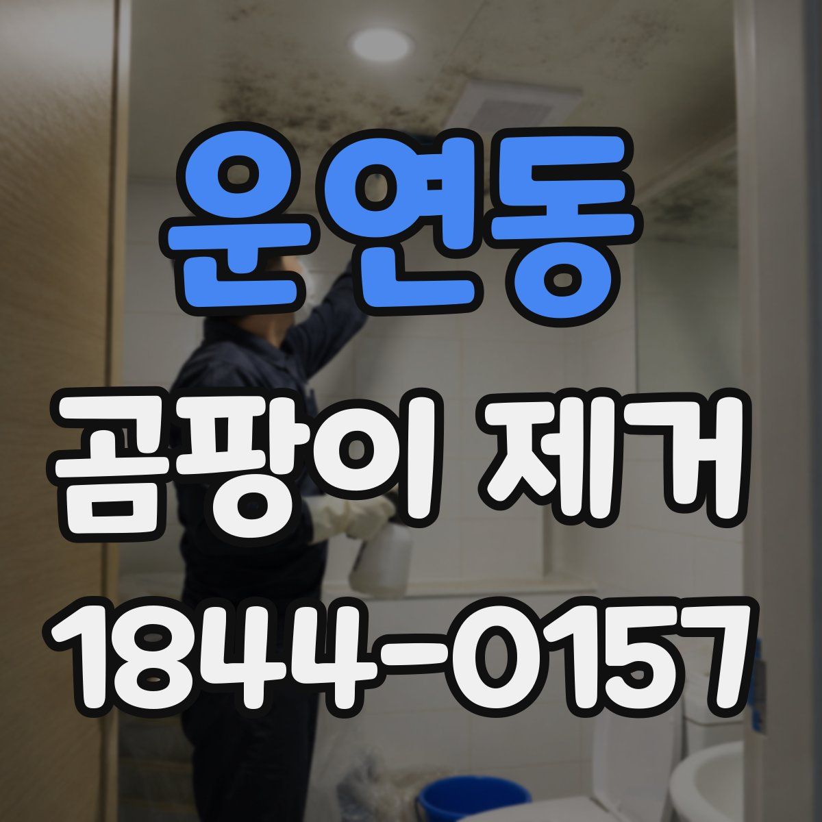 운연동 곰팡이 제거